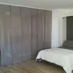 Apartmán Maravilloso Loft Centro